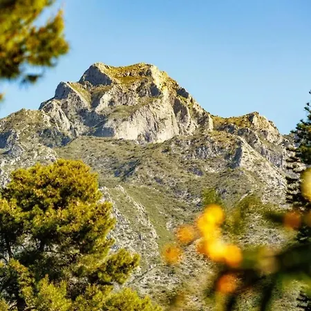 Sierra Blanca Art Of Healing