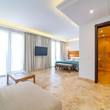 Sierra Blanca Art Of Healing Hotel Marbella
